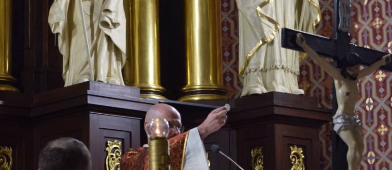 Wielki Piątek – Liturgia Męki Pańskiej (fotorelacja)